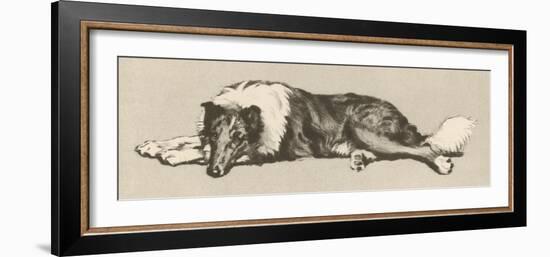 Collie Dog Relaxes-Cecil Aldin-Framed Photographic Print