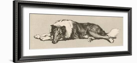 Collie Dog Relaxes-Cecil Aldin-Framed Photographic Print