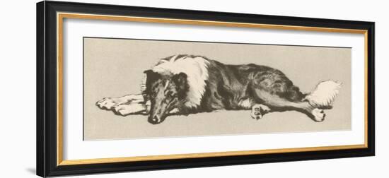 Collie Dog Relaxes-Cecil Aldin-Framed Photographic Print
