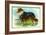 Collie Dog-null-Framed Art Print