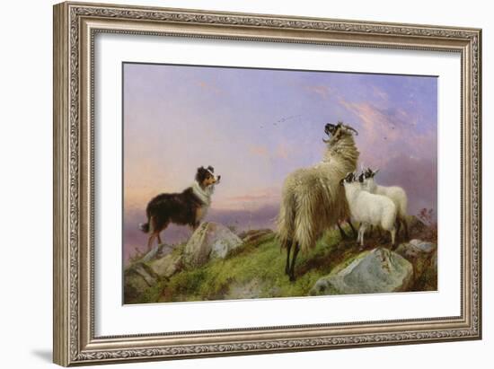 Collie, Ewe and Lambs-Richard Ansdell-Framed Giclee Print