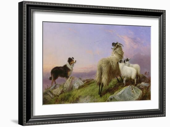 Collie, Ewe and Lambs-Richard Ansdell-Framed Giclee Print