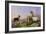 Collie, Ewe and Lambs-Richard Ansdell-Framed Giclee Print