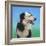 Collie Jud-Karie-Ann Cooper-Framed Giclee Print