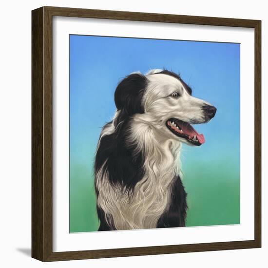 Collie Jud-Karie-Ann Cooper-Framed Giclee Print