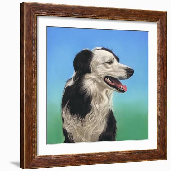 Collie Jud-Karie-Ann Cooper-Framed Giclee Print