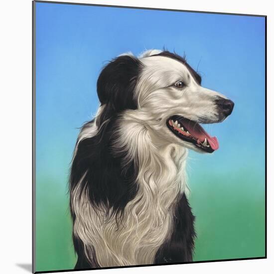 Collie Jud-Karie-Ann Cooper-Mounted Giclee Print