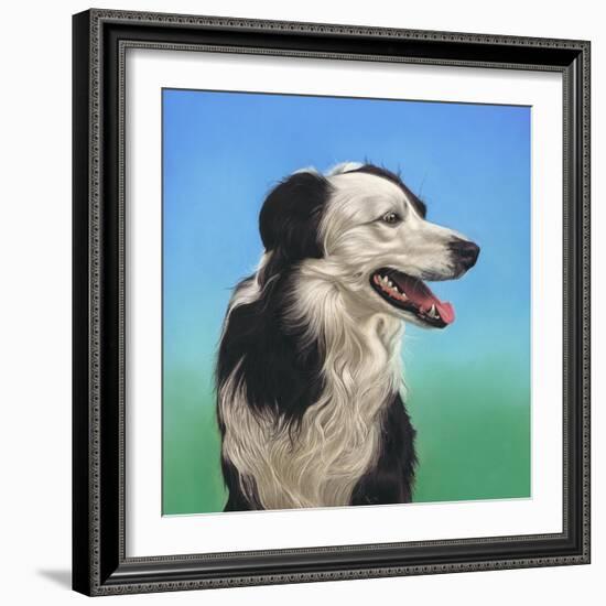 Collie Jud-Karie-Ann Cooper-Framed Giclee Print