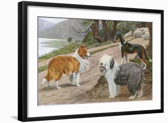 Photographic Print, , large