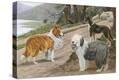 Stretched Canvas Print