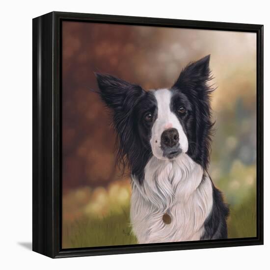 Collie Perdy-Karie-Ann Cooper-Framed Premier Image Canvas