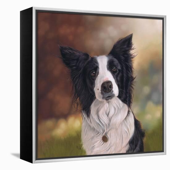 Collie Perdy-Karie-Ann Cooper-Framed Premier Image Canvas