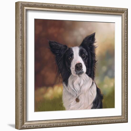 Collie Perdy-Karie-Ann Cooper-Framed Giclee Print