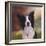 Collie Perdy-Karie-Ann Cooper-Framed Giclee Print