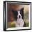 Collie Perdy-Karie-Ann Cooper-Framed Giclee Print