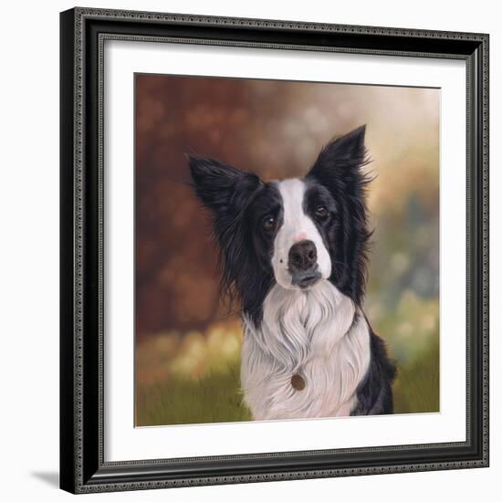 Collie Perdy-Karie-Ann Cooper-Framed Giclee Print