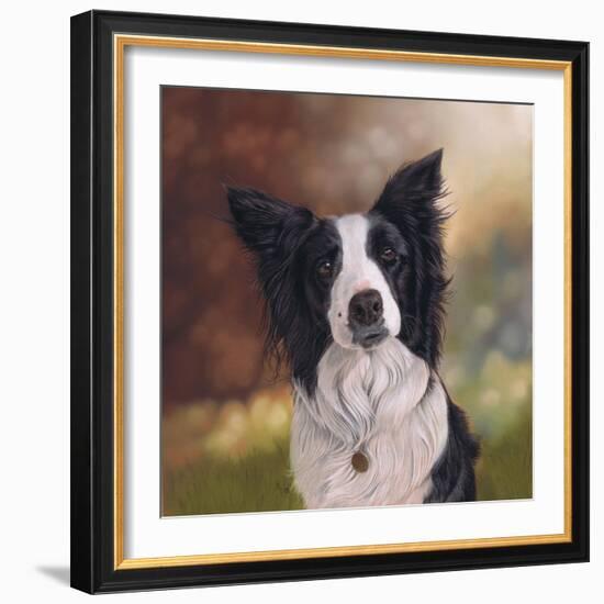 Collie Perdy-Karie-Ann Cooper-Framed Giclee Print