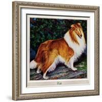 "Collie," September 11, 1943-Rutherford Boyd-Framed Giclee Print