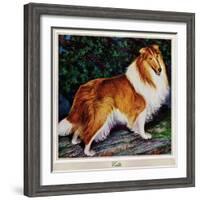 "Collie," September 11, 1943-Rutherford Boyd-Framed Giclee Print