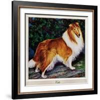 "Collie," September 11, 1943-Rutherford Boyd-Framed Giclee Print