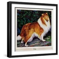 "Collie," September 11, 1943-Rutherford Boyd-Framed Giclee Print