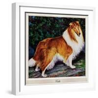 "Collie," September 11, 1943-Rutherford Boyd-Framed Giclee Print