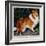 "Collie," September 11, 1943-Rutherford Boyd-Framed Giclee Print