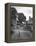 Collie Sheepdog Sitting in Road Leading Up Toward Castle Farm Owned by Beatrix Potter-George Rodger-Framed Premier Image Canvas