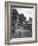 Collie Sheepdog Sitting in Road Leading Up Toward Castle Farm Owned by Beatrix Potter-George Rodger-Framed Photographic Print