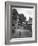 Collie Sheepdog Sitting in Road Leading Up Toward Castle Farm Owned by Beatrix Potter-George Rodger-Framed Photographic Print