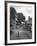 Collie Sheepdog Sitting in Road Leading Up Toward Castle Farm Owned by Beatrix Potter-George Rodger-Framed Photographic Print