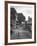 Collie Sheepdog Sitting in Road Leading Up Toward Castle Farm Owned by Beatrix Potter-George Rodger-Framed Photographic Print