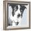 Collie-Emily Burrowes-Framed Giclee Print