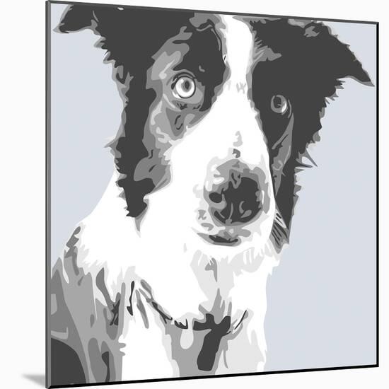 Collie-Emily Burrowes-Mounted Giclee Print