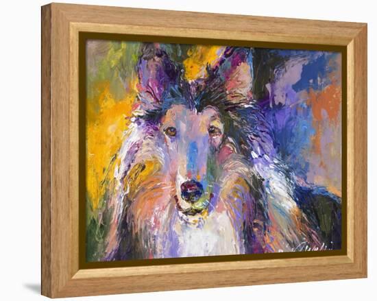 Collie-Richard Wallich-Framed Premier Image Canvas