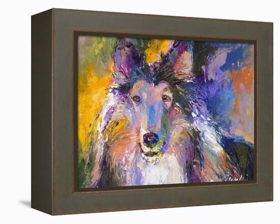 Collie-Richard Wallich-Framed Premier Image Canvas