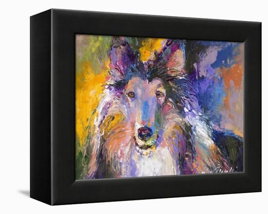 Collie-Richard Wallich-Framed Premier Image Canvas