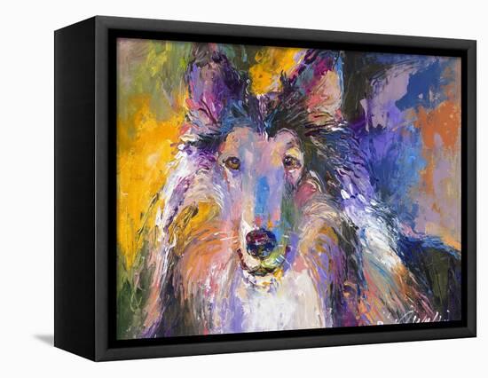 Collie-Richard Wallich-Framed Premier Image Canvas