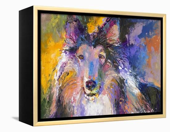 Collie-Richard Wallich-Framed Premier Image Canvas