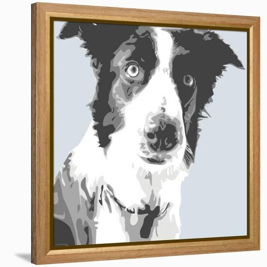 Collie-Emily Burrowes-Framed Stretched Canvas