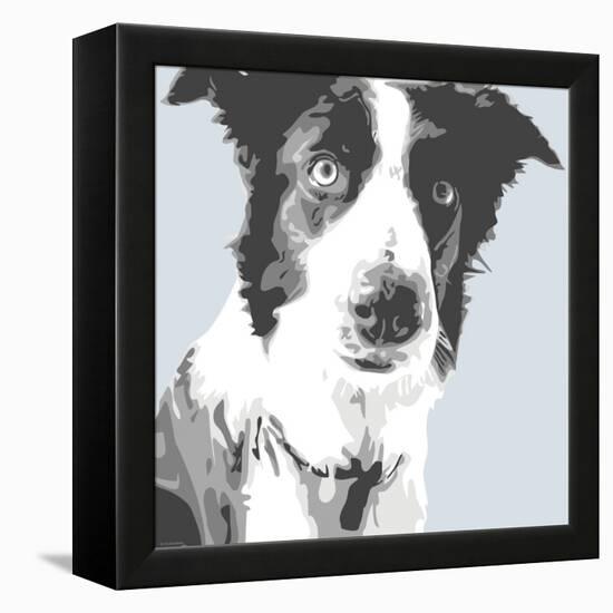 Collie-Emily Burrowes-Framed Stretched Canvas