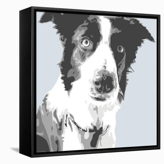 Collie-Emily Burrowes-Framed Stretched Canvas