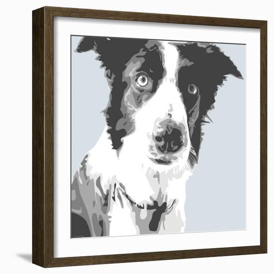 Collie-Emily Burrowes-Framed Art Print