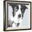 Collie-Emily Burrowes-Framed Art Print