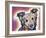 Collied-Dean Russo-Framed Giclee Print