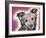 Collied-Dean Russo-Framed Giclee Print