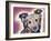 Collied-Dean Russo-Framed Giclee Print