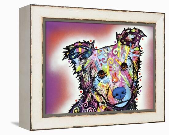 Collied-Dean Russo-Framed Premier Image Canvas