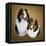 Collies 2-Jenny Newland-Framed Premier Image Canvas