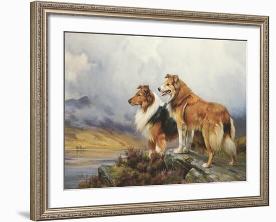 Collies in a Highland Landscape-Wright Barker-Framed Premium Giclee Print